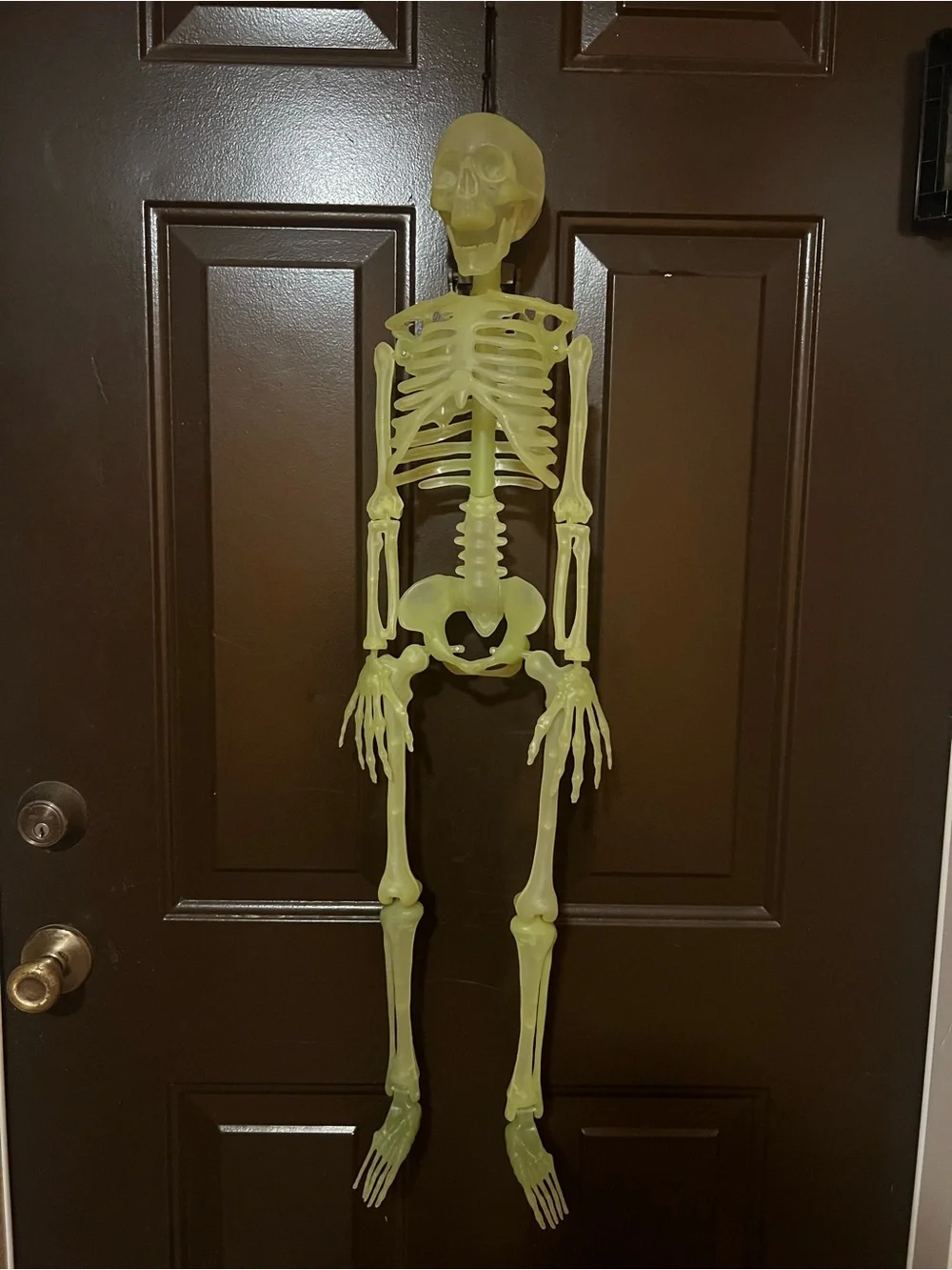 Glow Green Hanging Skeleton Halloween Decoration -